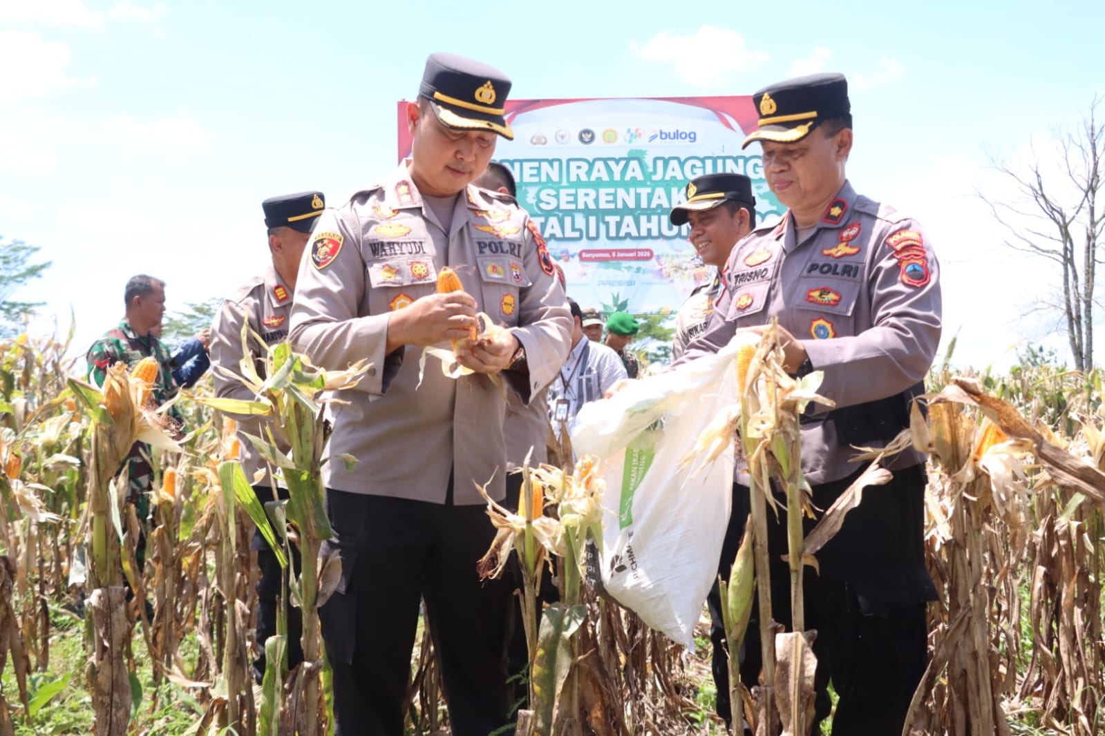 Panen Raya Jagung Serentak Kuartal IV, Polresta Banyumas Dukung Swasembada Pangan